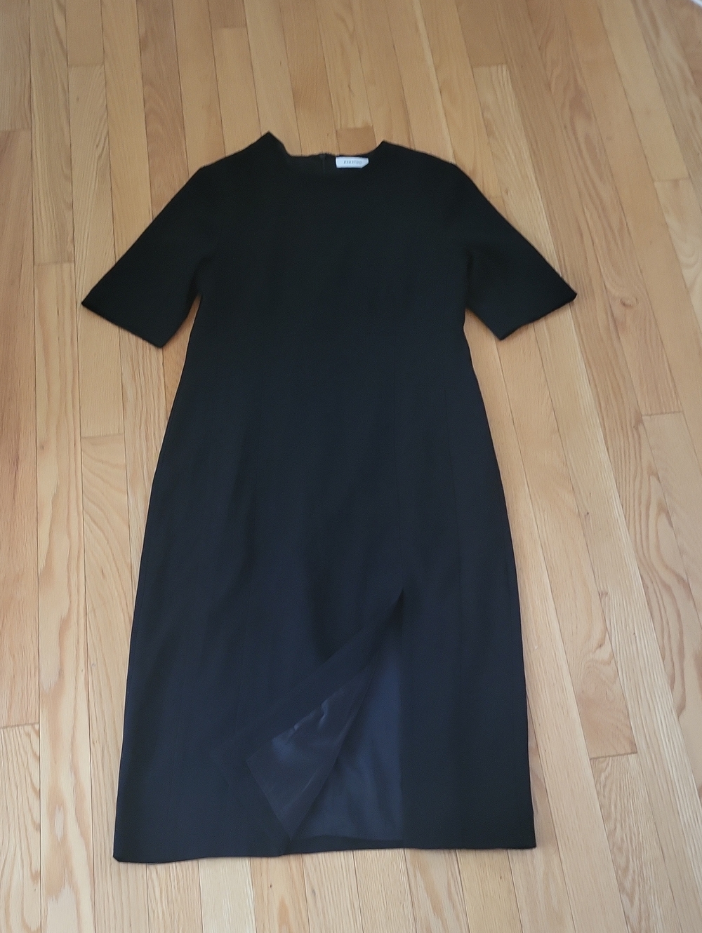 EUC Babaton Dress 4